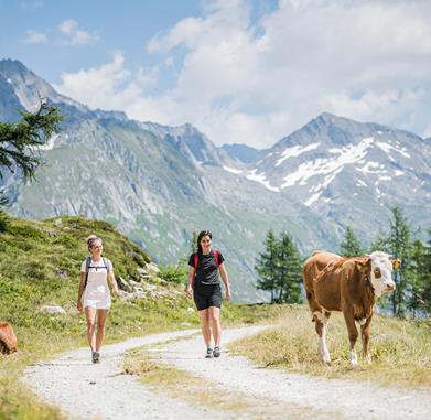 2022mindfulmountaindays_wandere-achtsam