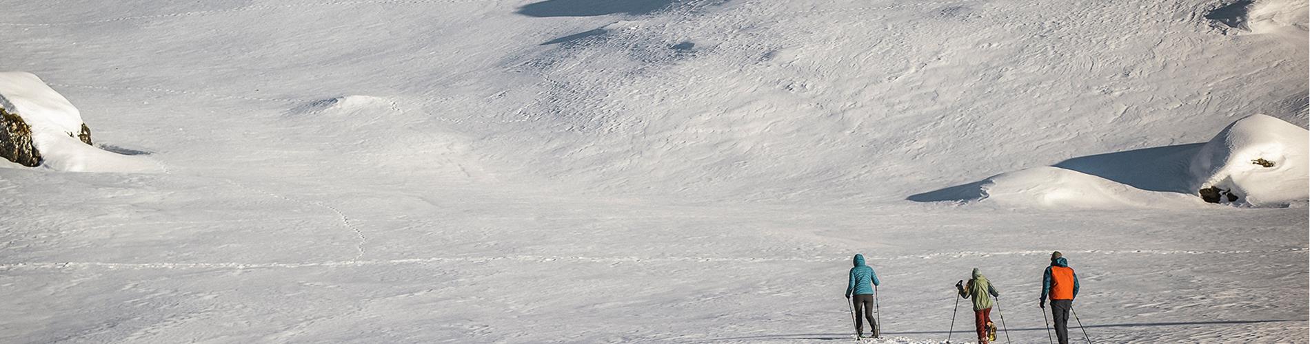 hero-schneeschuhwandern-ahrntal-valle-aurina-tv-sand-in-taufers-manuel-kottersteger-3