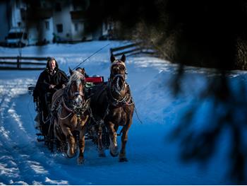 pferdeschlitten-ap0q7535-idm-suedtirol-hansi-heckmair
