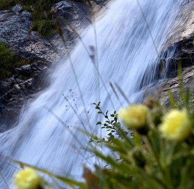 wasserfall-mit-blumen-gorfer