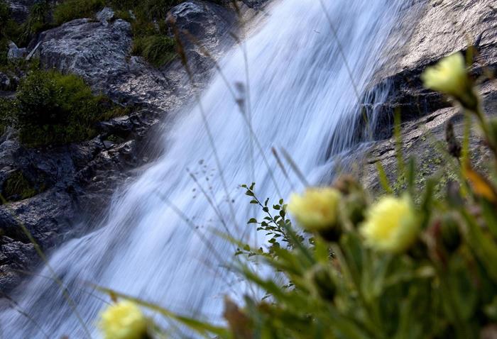 wasserfall-mit-blumen-gorfer