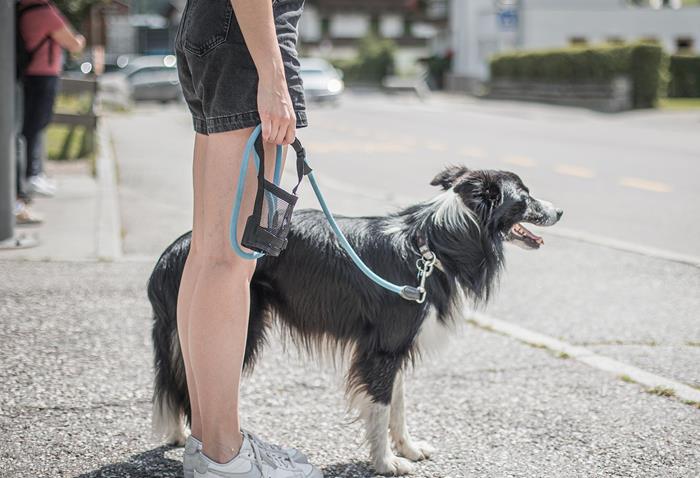 urlaub-mit-hund-ahrntal-valle-aurina-tv-ahrntal-martin-zimmerhofer