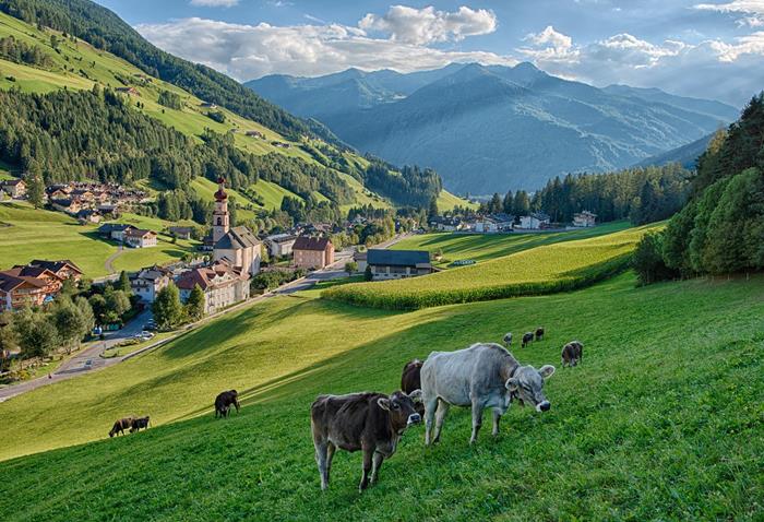 st-johann-sommer-kuehe-tv-ahrntal-filippo-galluzzi-19