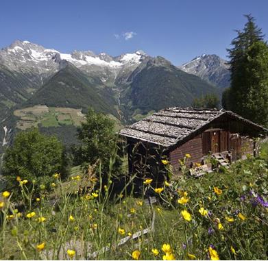 almhuette-mit-zillertaler-gorfer