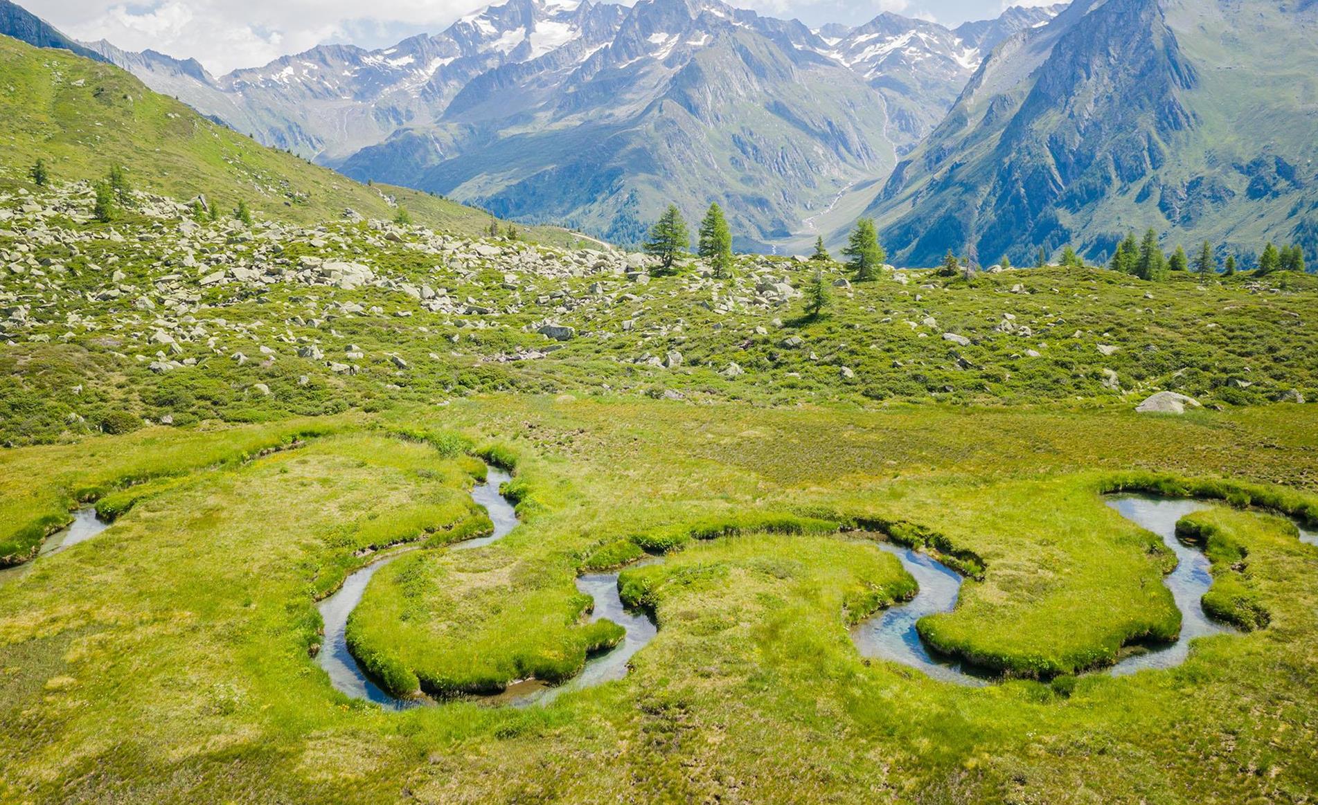 biotop-wieser-werfer-ahrntal-valle-aurina-tv-ahrntal-www-wisthaler-com