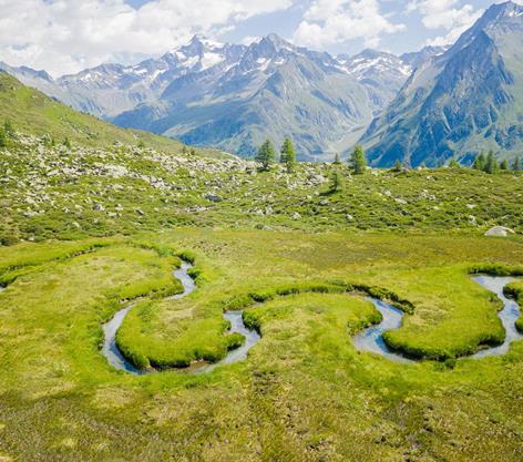 biotop-wieser-werfer-ahrntal-valle-aurina-tv-ahrntal-www-wisthaler-com