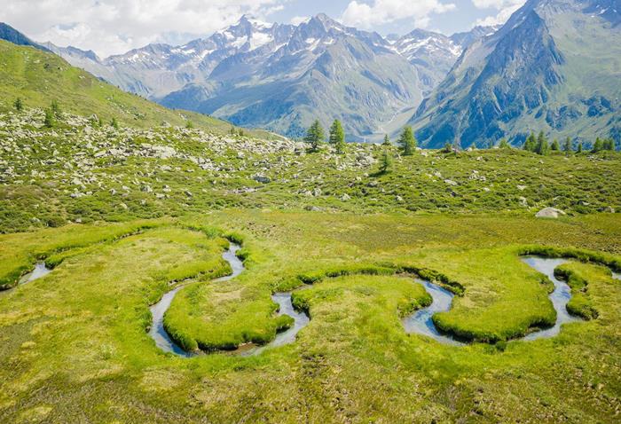 biotop-wieser-werfer-ahrntal-valle-aurina-tv-ahrntal-www-wisthaler-com