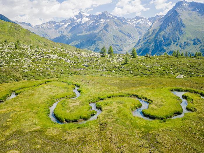 biotop-wieser-werfer-ahrntal-valle-aurina-tv-ahrntal-www-wisthaler-com