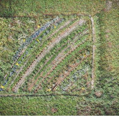002-taufrisch-kottersteger-190830-dji-0402-2