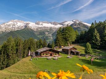 Niederhoferalm