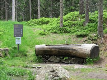 Fountain Möser forrest