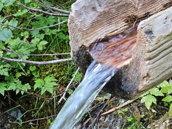 Fountain Wasserlechen