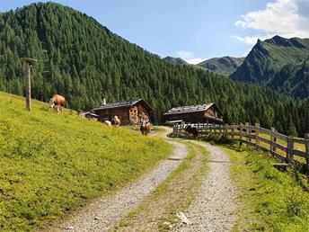 Innerhoferalm Sommer