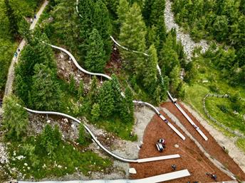 Cross Woods Landscape Slides