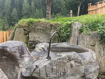 Fountain Adleralm