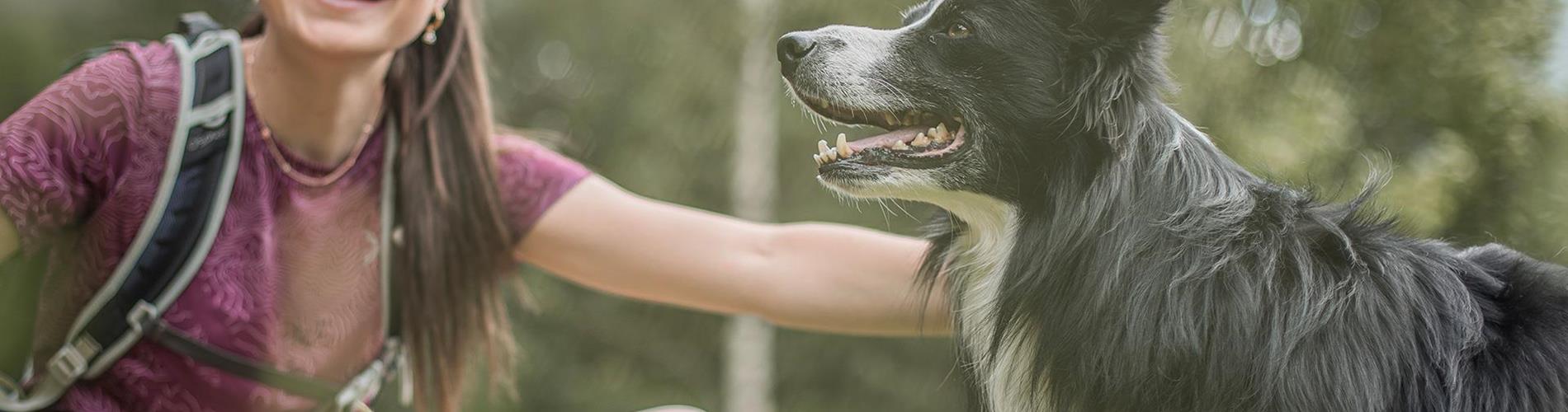 urlaub-mit-hund-ahrntal-valle-aurina-tv-ahrntal-martin-zimmerhofer-1