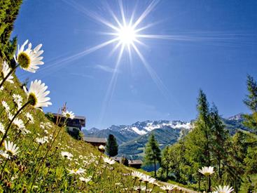 sunnsatweg-mit-margeriten-gorfer