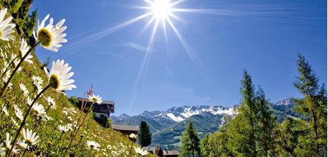 sunnsatweg-mit-margeriten-gorfer